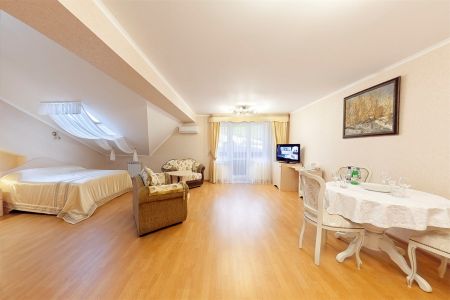 Студия 3-местная Большая