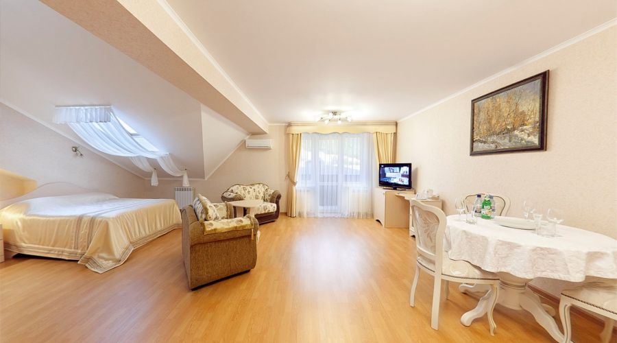 Студия 3-местная Большая